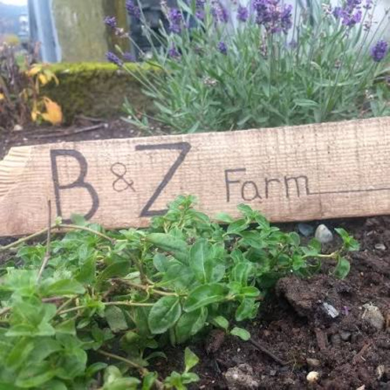 B & Z Farm Image