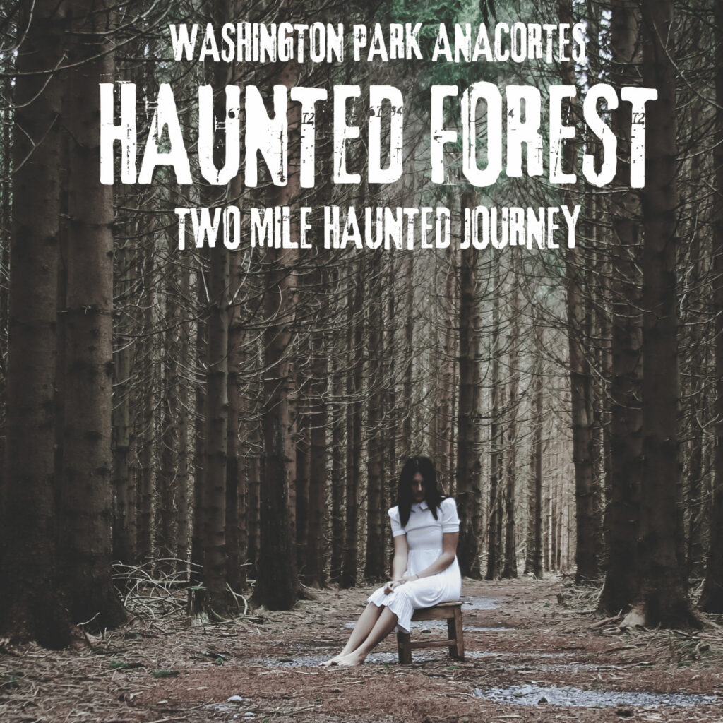Haunted Forest Image