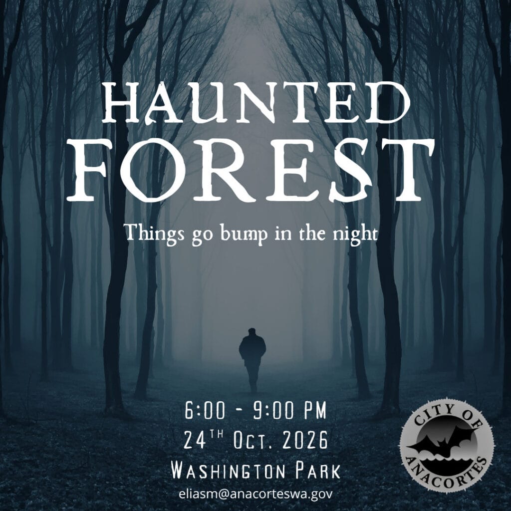 Haunted Forest Image