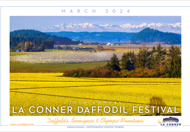 Capturing the Essence of Spring: La Conner Daffodil Festival Photo Contest