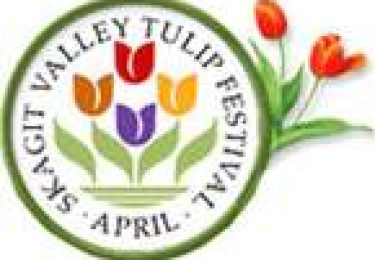 Skagit Valley Tulip Festival – April