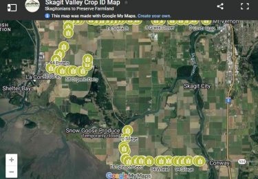 Skagit Crop Identification Map