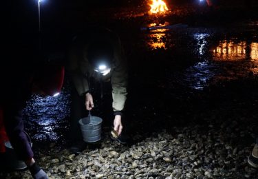 Night Tide Oyster Soirée at Samish Bay Farm