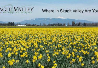 Tulip Festival Photos – Where In Skagit Valley Are You?