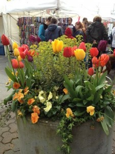 tulip_festival_street_fair